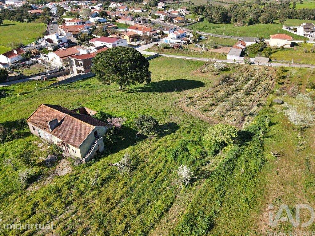 Moradia isolada T2 em Lamas e Cercal de 56 m2 - Grande imagem: 4/21