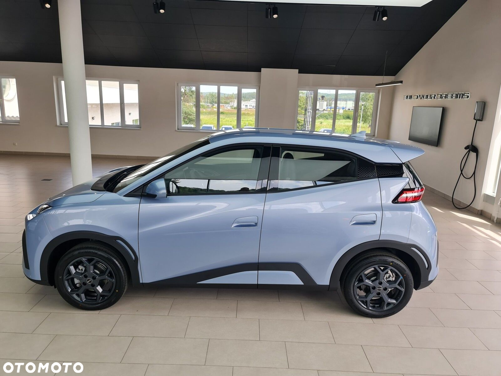 BYD Dolphin Surf - 13