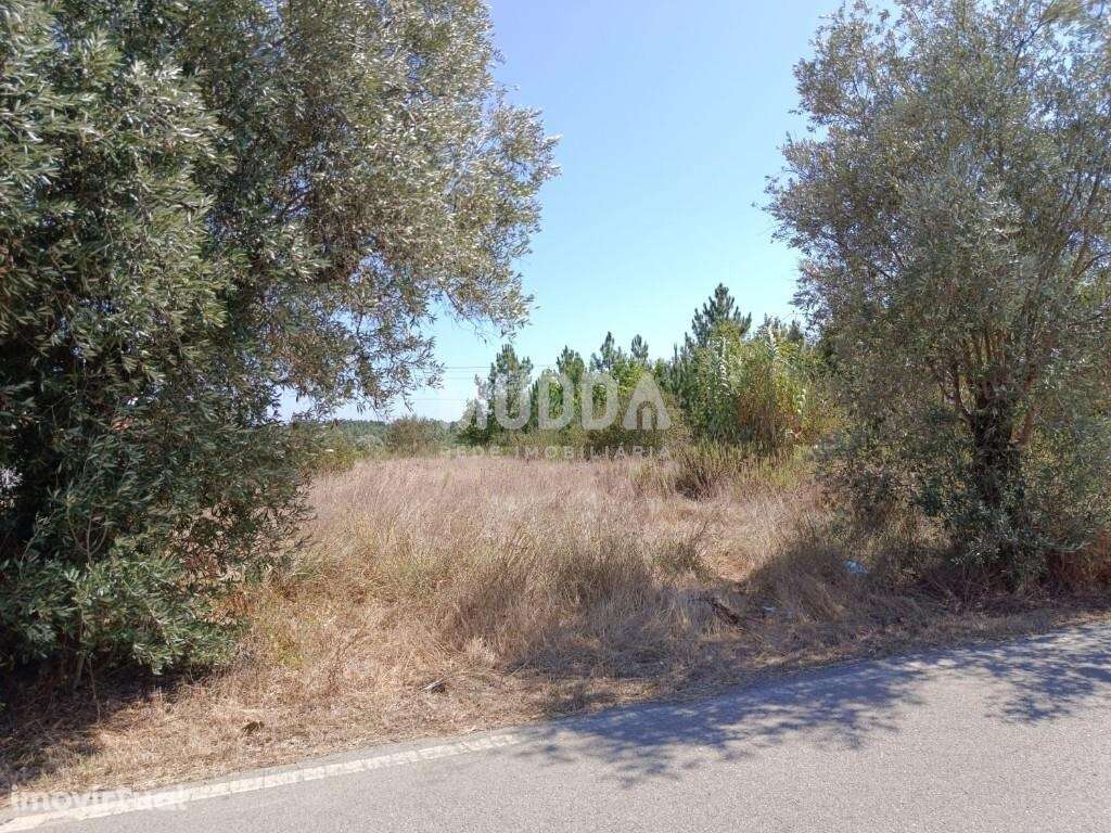 Oportunidade de Investimento – Terreno Urbano em São Lourenço (Bairro - Grande imagem: 3/3