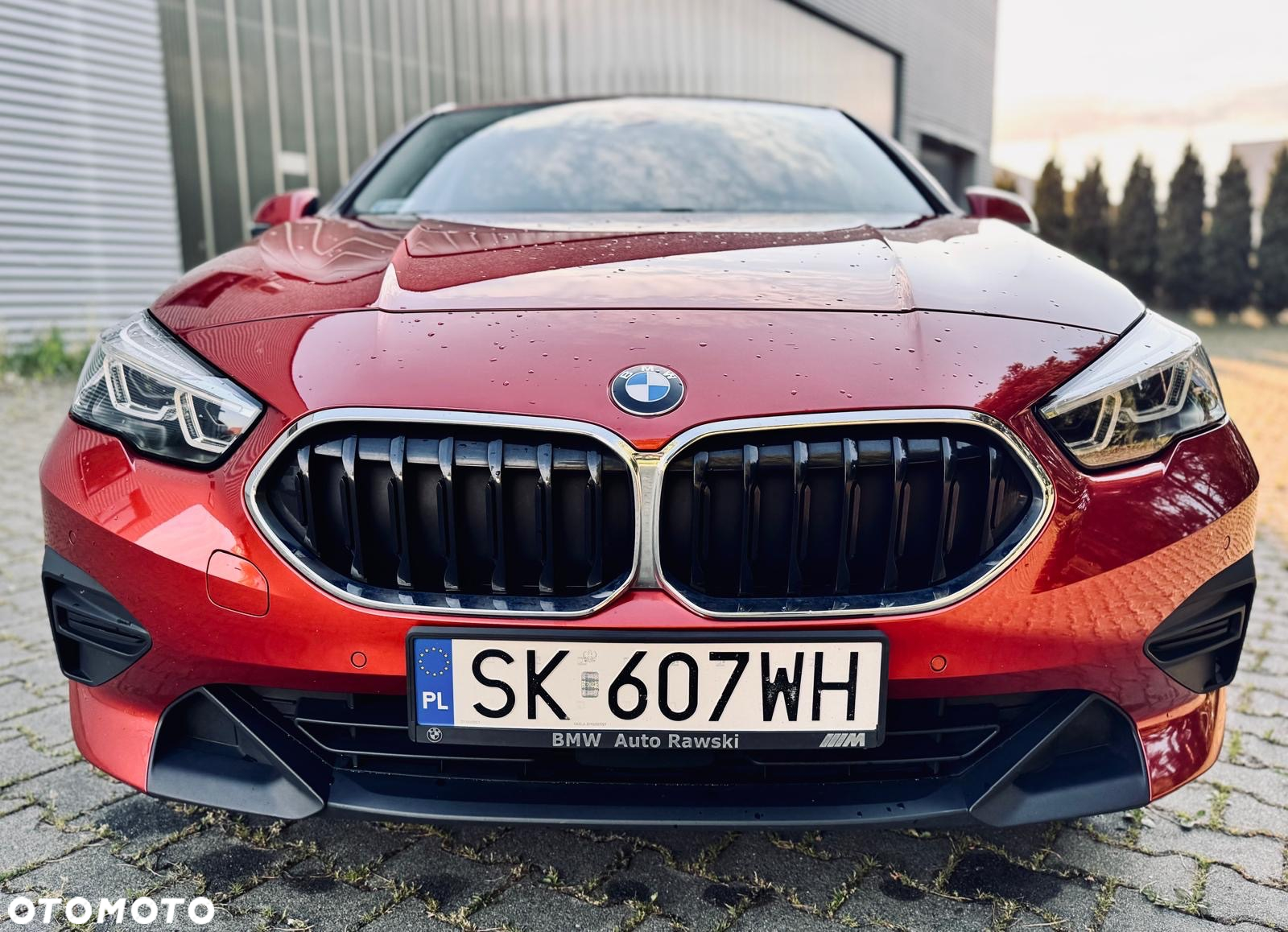 BMW Seria 2 218i Advantage - 2