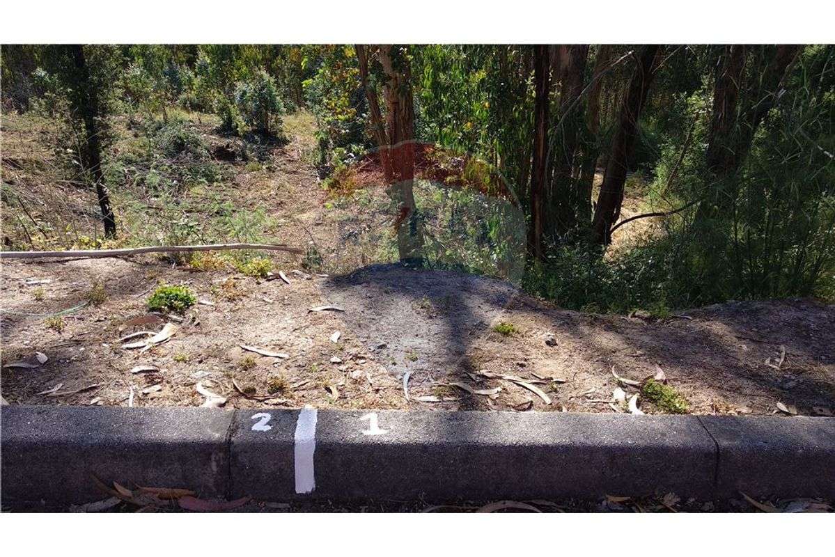 LOTE DE TERRENO | 442m2 | ALFENA - Grande imagem: 3/4