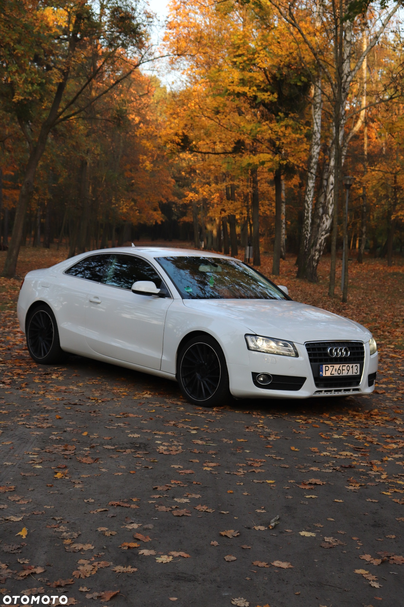 Audi A5 - 16