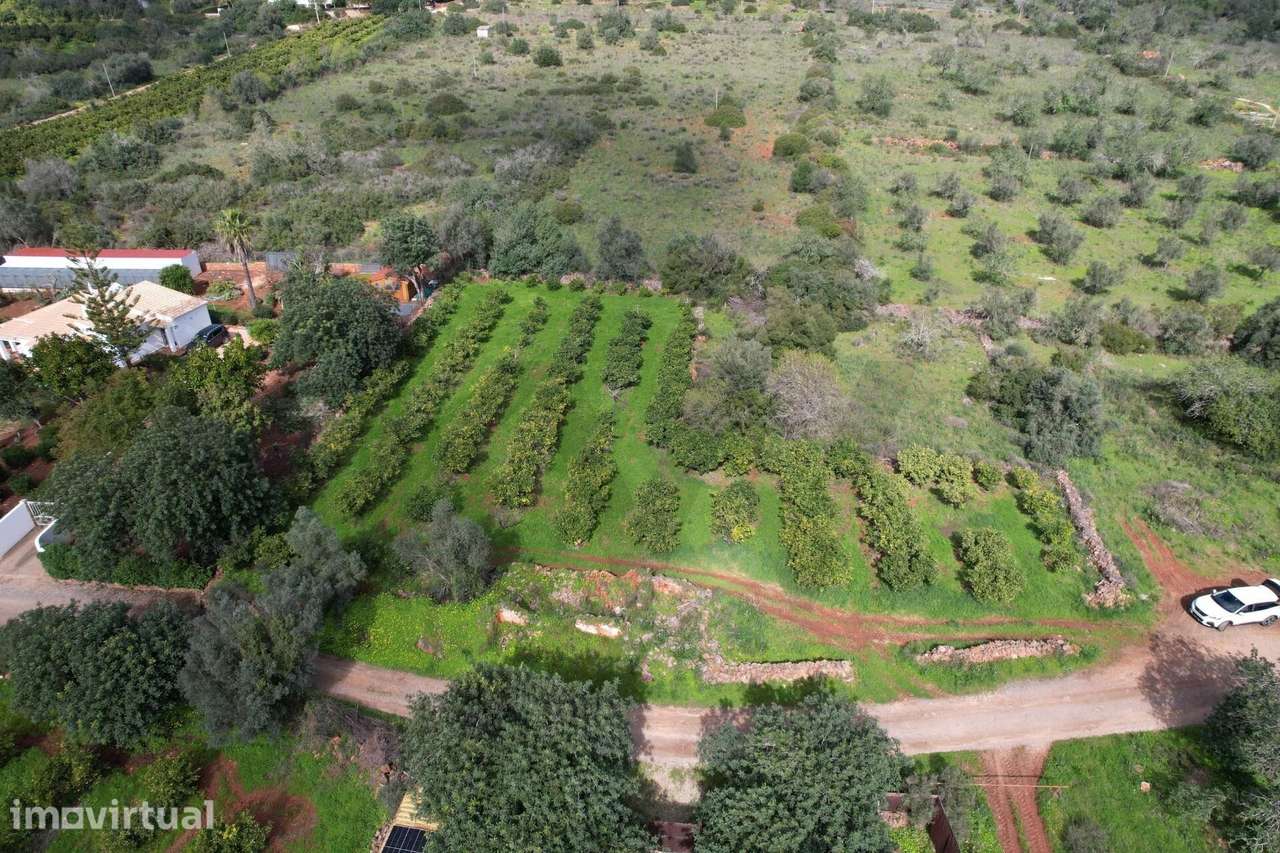 Silves – Messines – Carrascal | Ruína isolada com terreno | Construa a - Grande imagem: 3/19