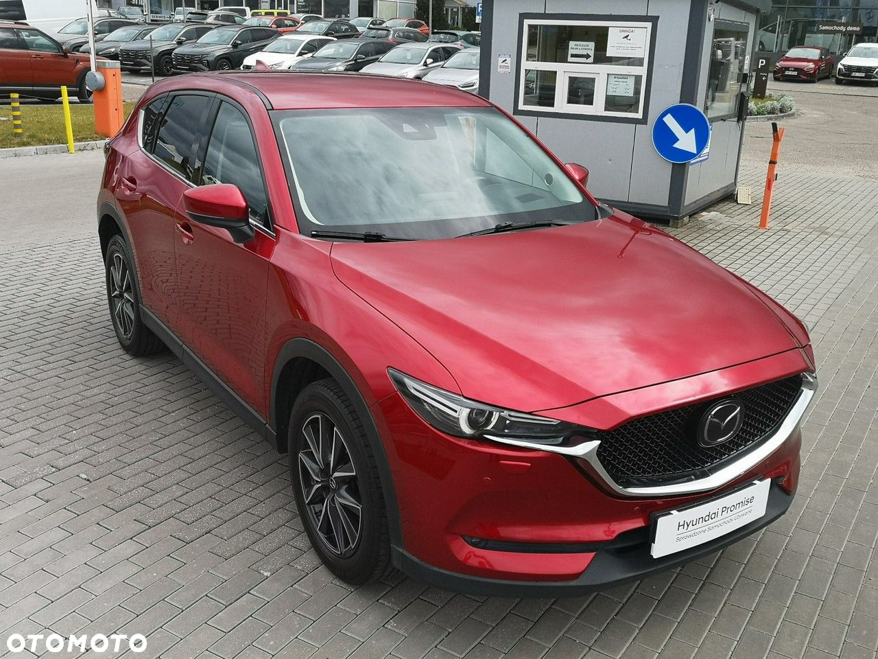 Mazda CX-5 2.2 D Skypassion AWD - 9