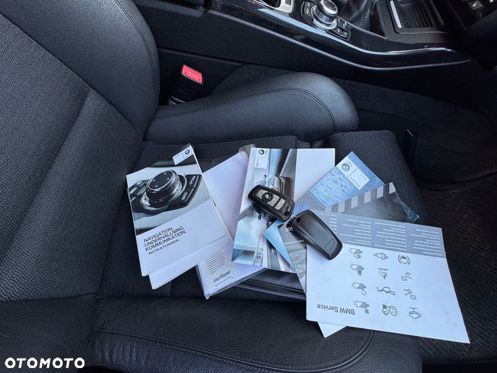 BMW Seria 5 520d Blue Performance - 17