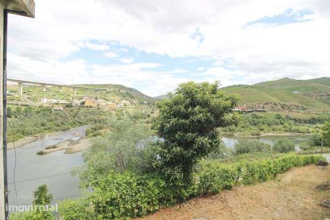Moradia com Vinha e Produção de Vinho junto ao Rio Douro - Grande imagem: 5/9