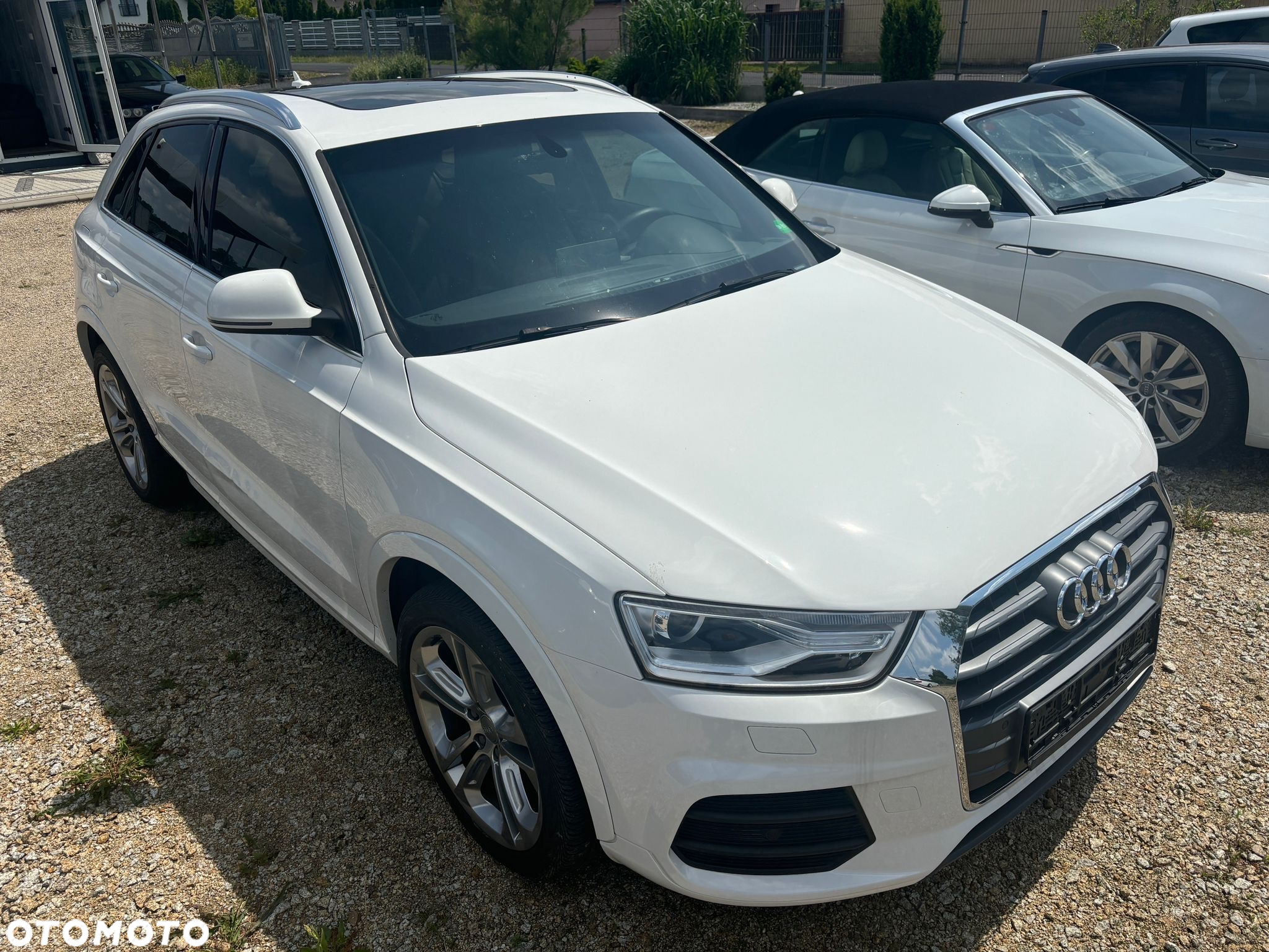 Audi Q3 - 19