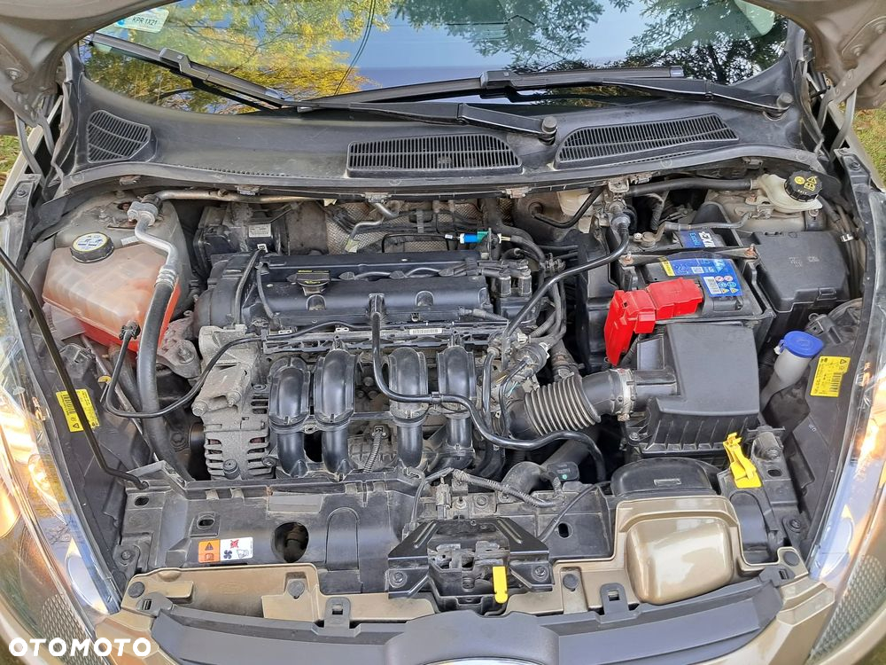 Ford Fiesta 1.25 Ghia - 14