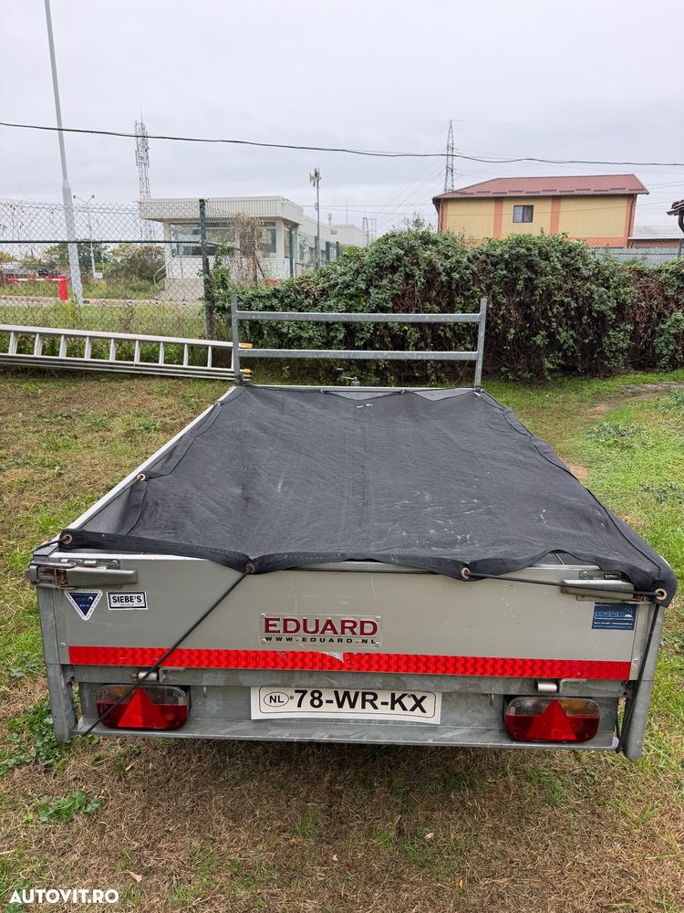 Eduard P3 - 7