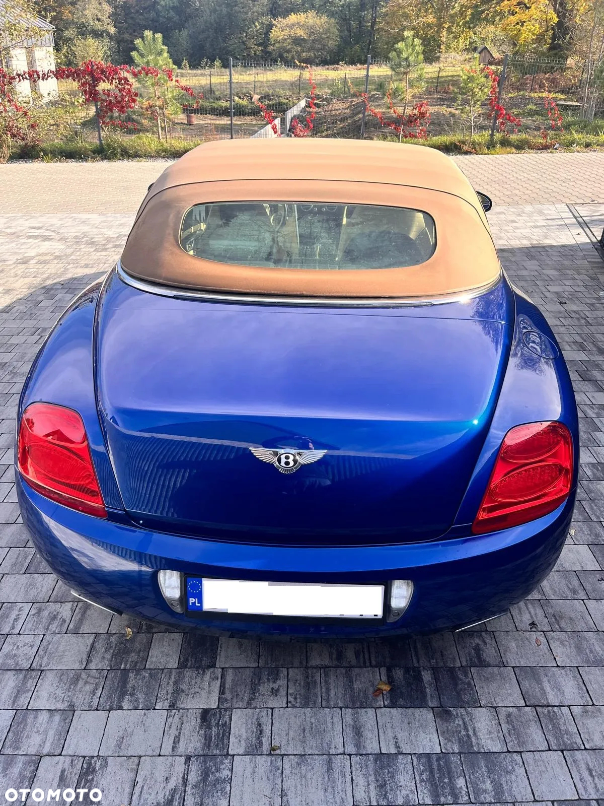 Bentley Continental GT GTC - 6