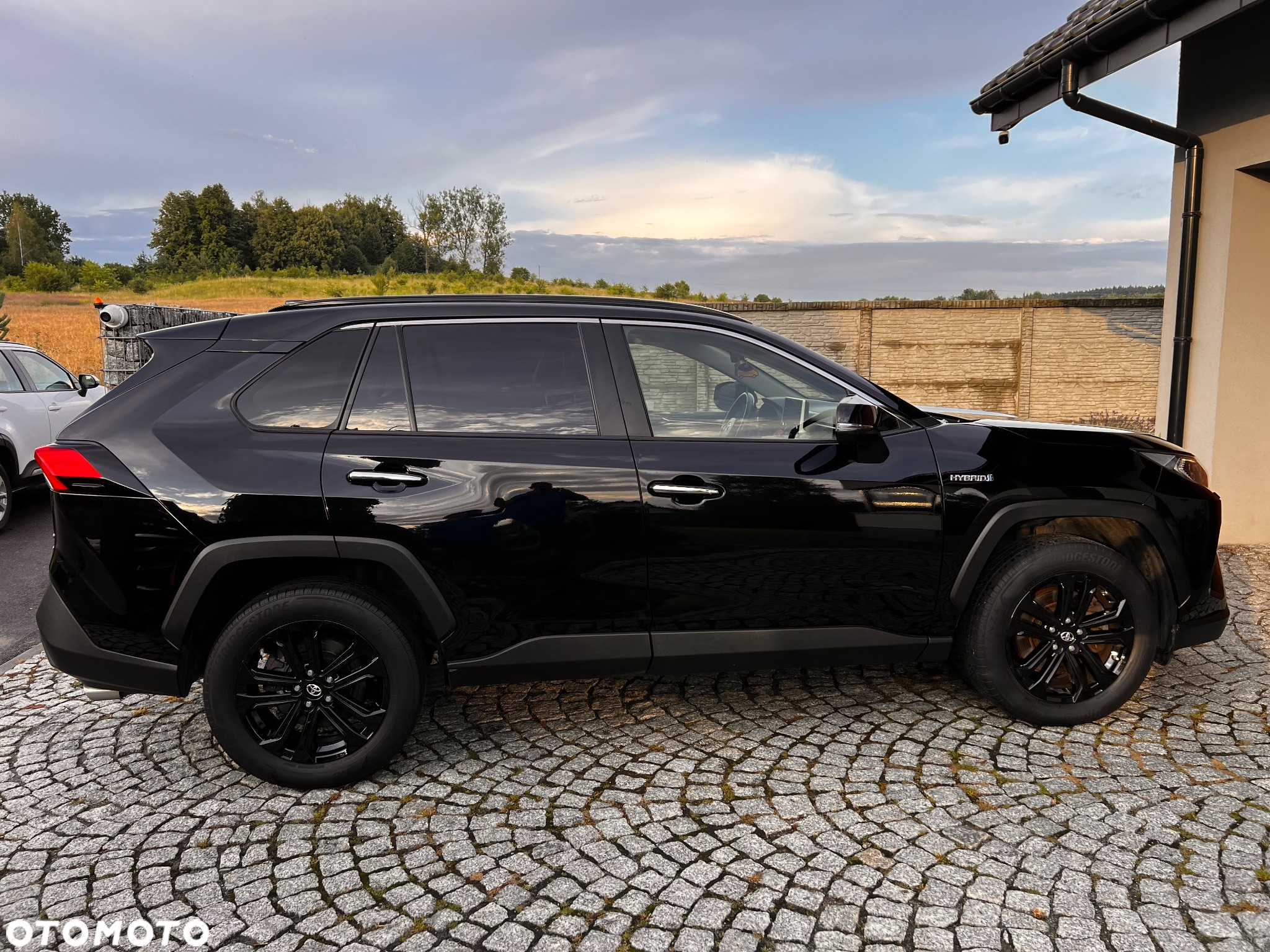 Toyota RAV4 2.5 Hybrid Executive 4x4 - 4