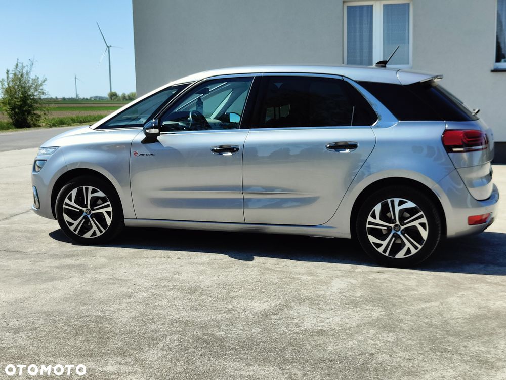Citroën C4 SpaceTourer 1.5 BlueHDi Rip Curl S&S - 12