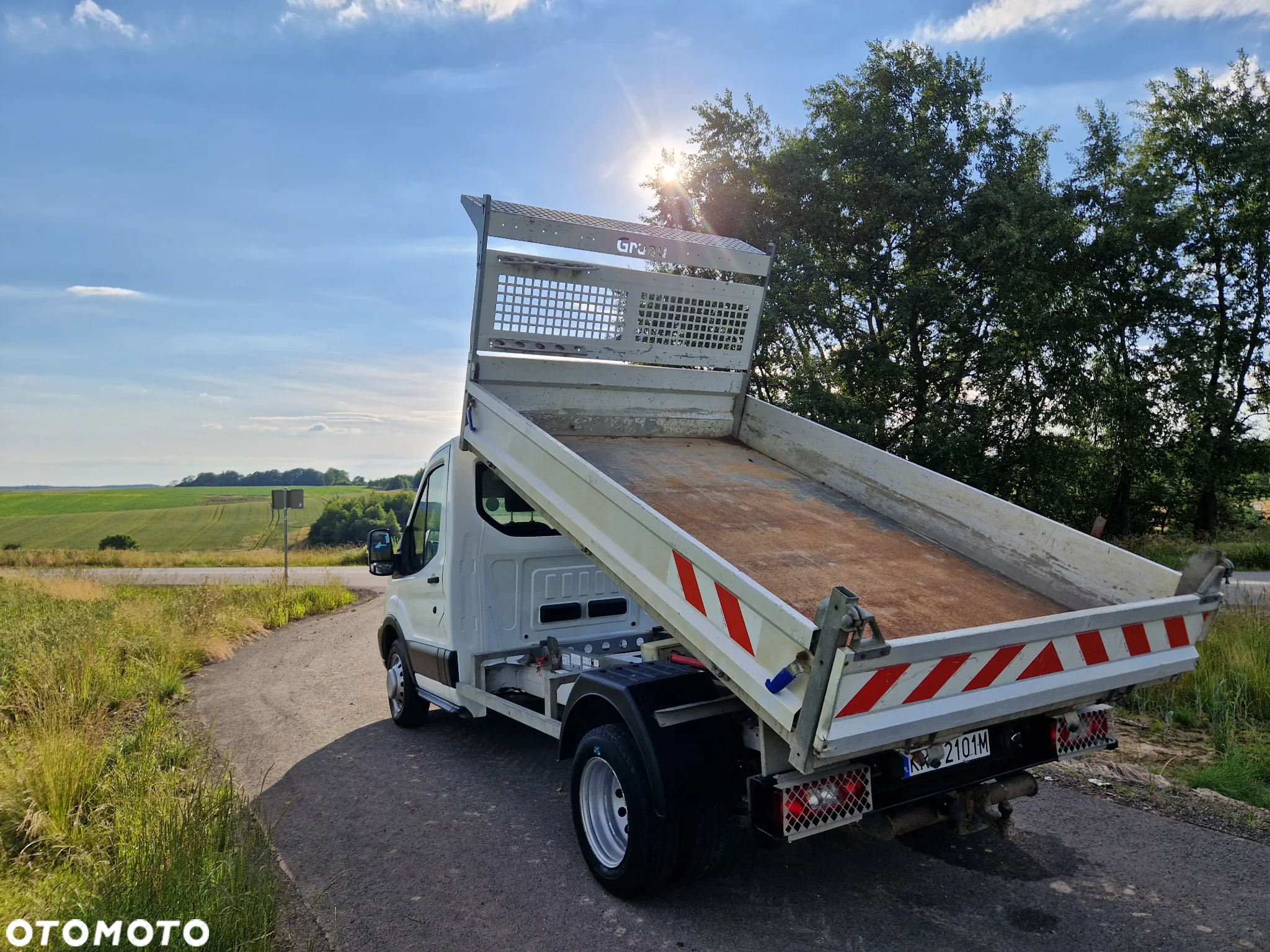 Ford Ford Transit Grau wywrotka 3.5T - 10