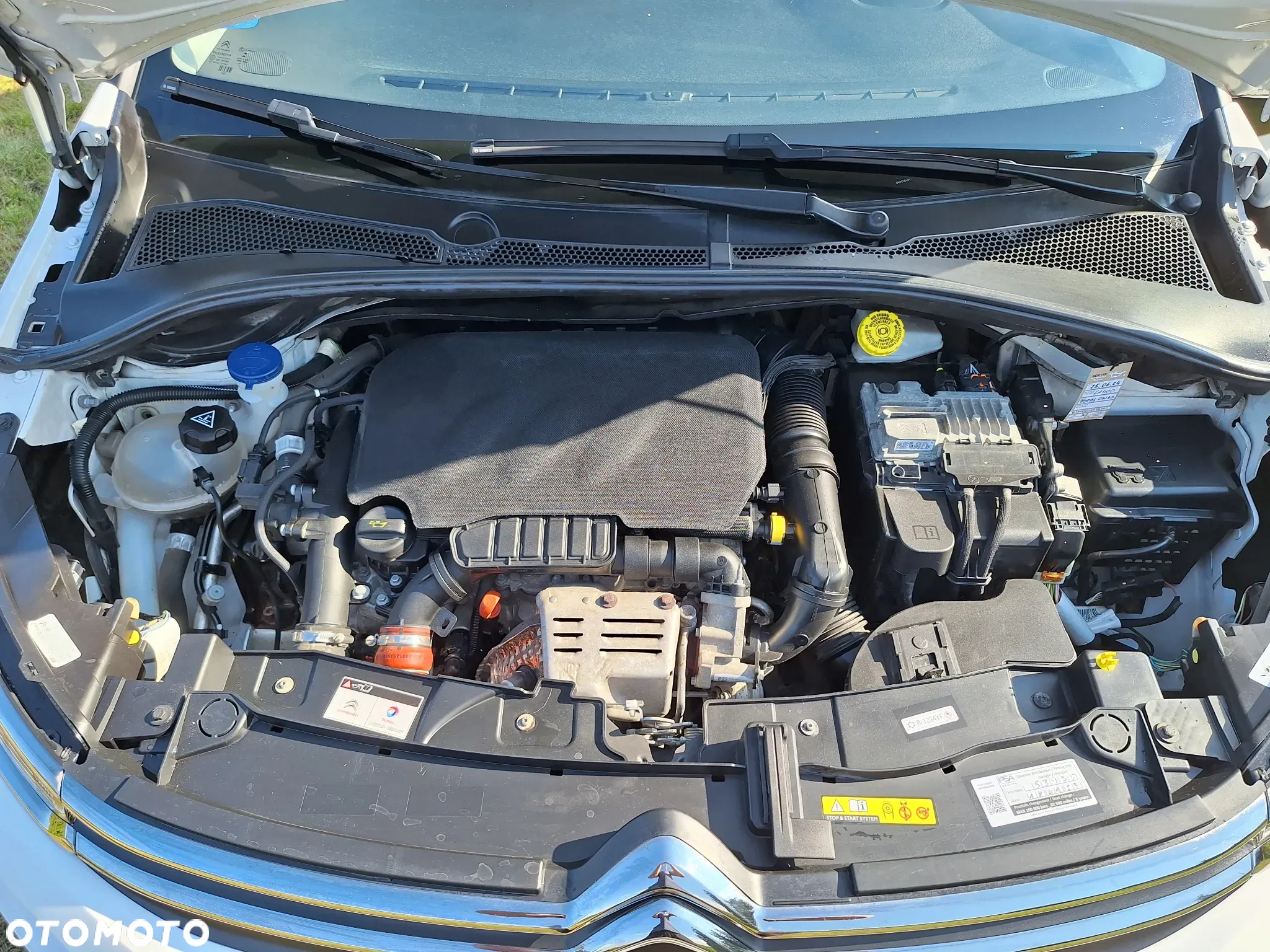 Citroën C3 1.2 PureTech Shine S&S EAT6 - 21