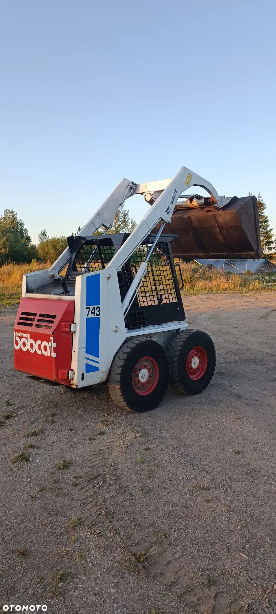 Bobcat - 2