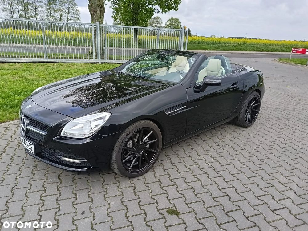 Mercedes-Benz SLK 250 (BlueEFFICIENCY) 7G-TRONIC - 2
