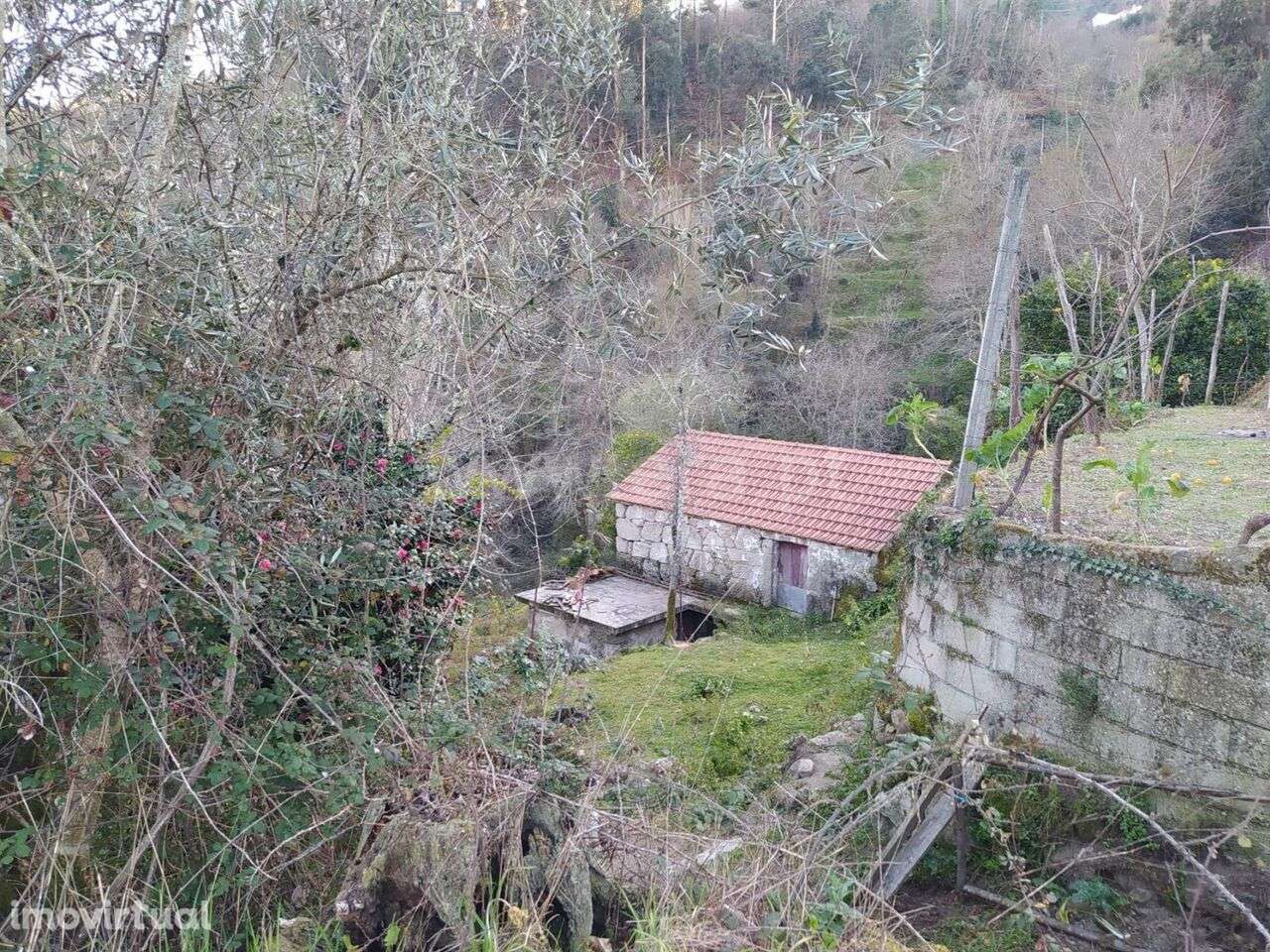 Terreno / Cinfães, Cinfães - Grande imagem: 3/5