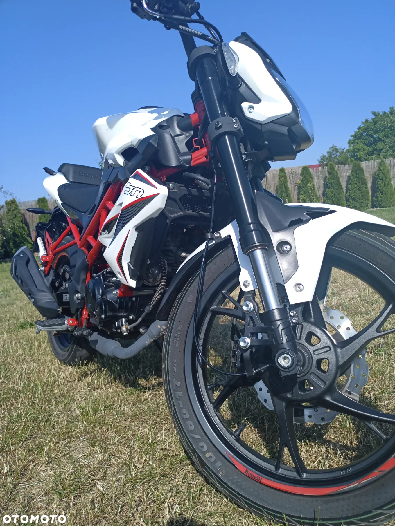 Benelli BN 125 - 6