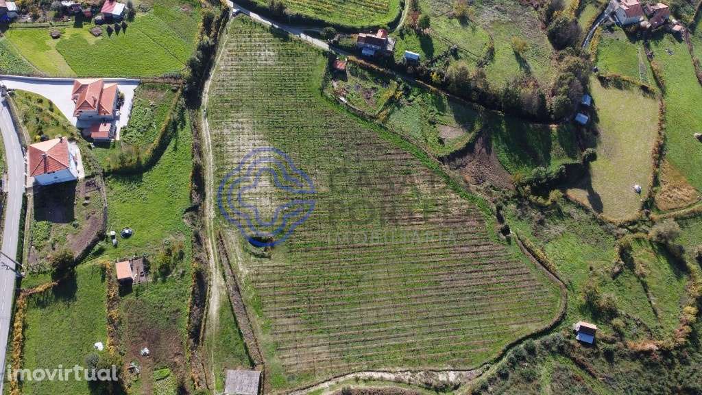 Quinta Agrícola - Gove - Baião - Grande imagem: 3/18