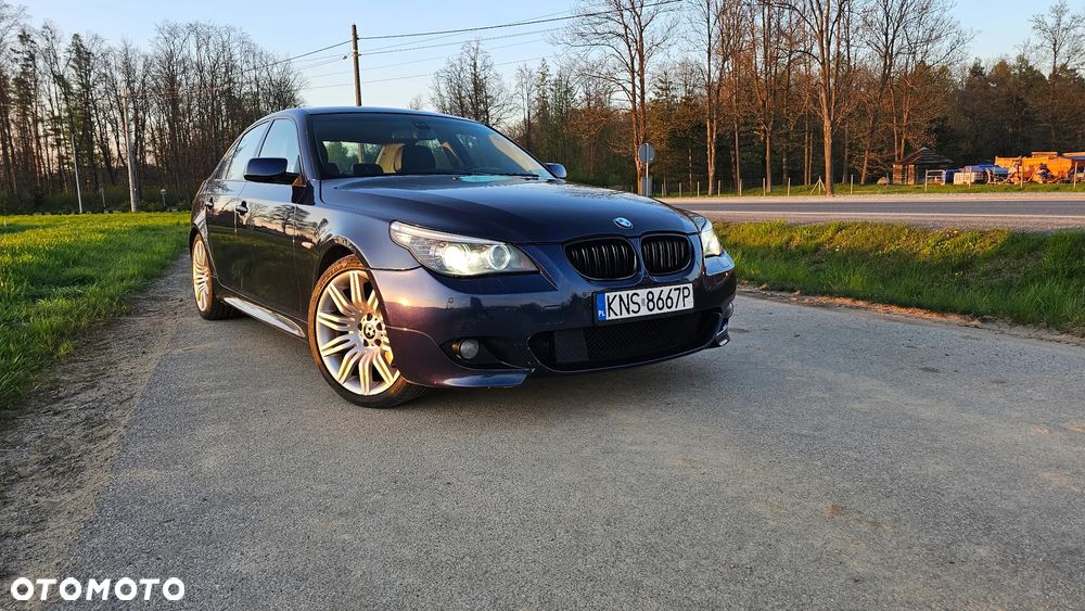 BMW Seria 5 530d - 25