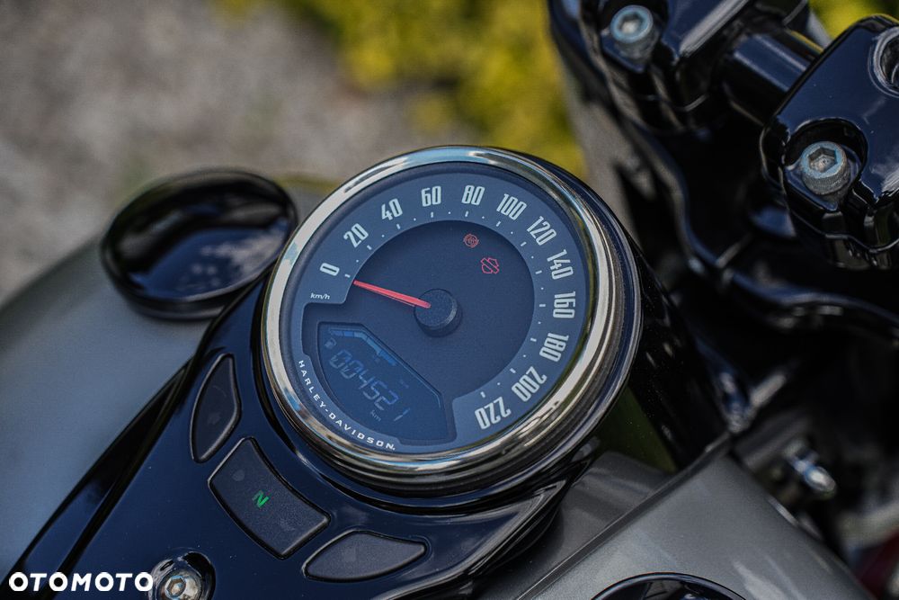 Harley-Davidson Softail - 15