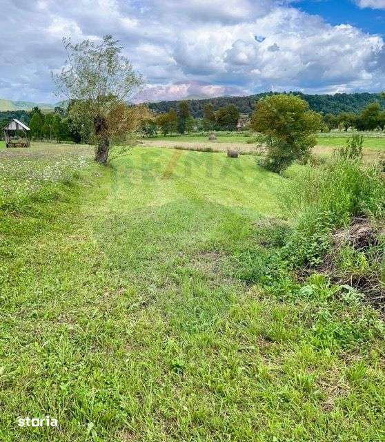 Teren 1,884mp Berbesti / Drumul secundar - Imagine principală: 4/5