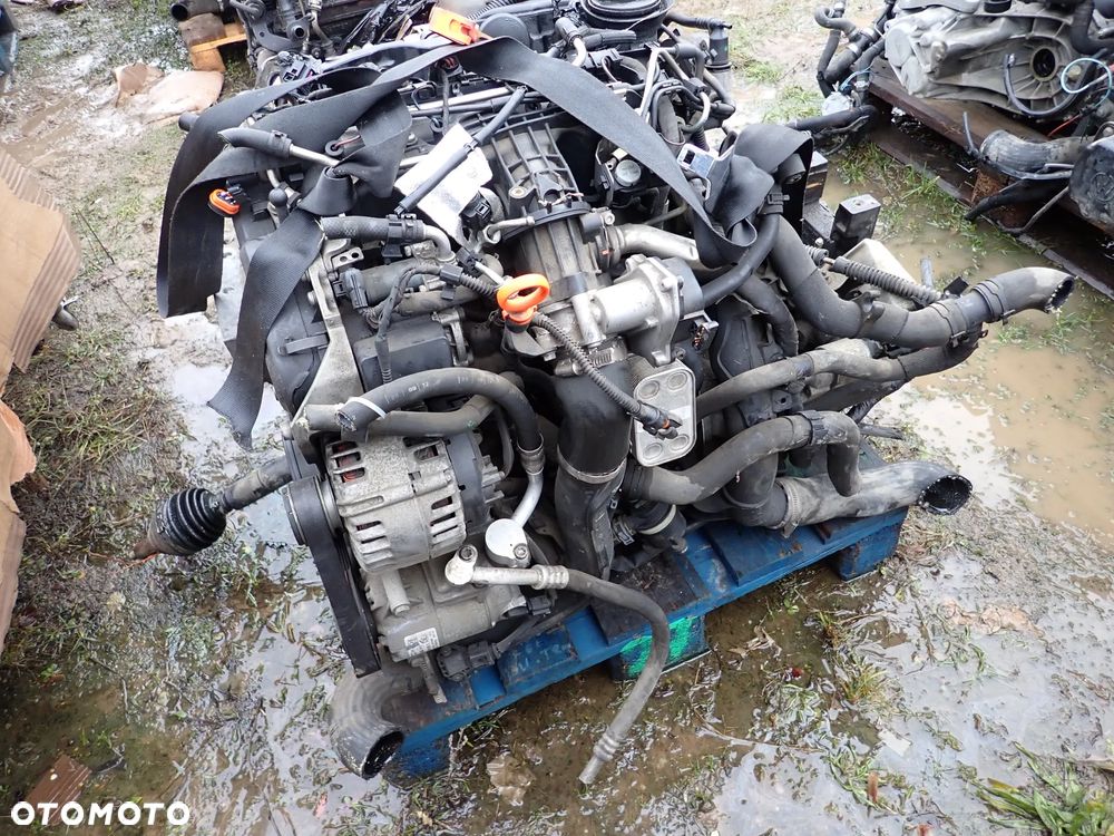 VOLKSWAGEN CADDY III 1.6 TDI CAYT SILNIK SŁUPEK - 2