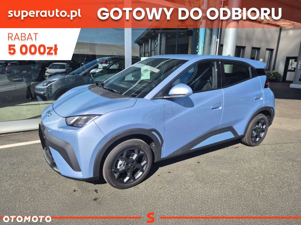 BYD Dolphin Surf - 1