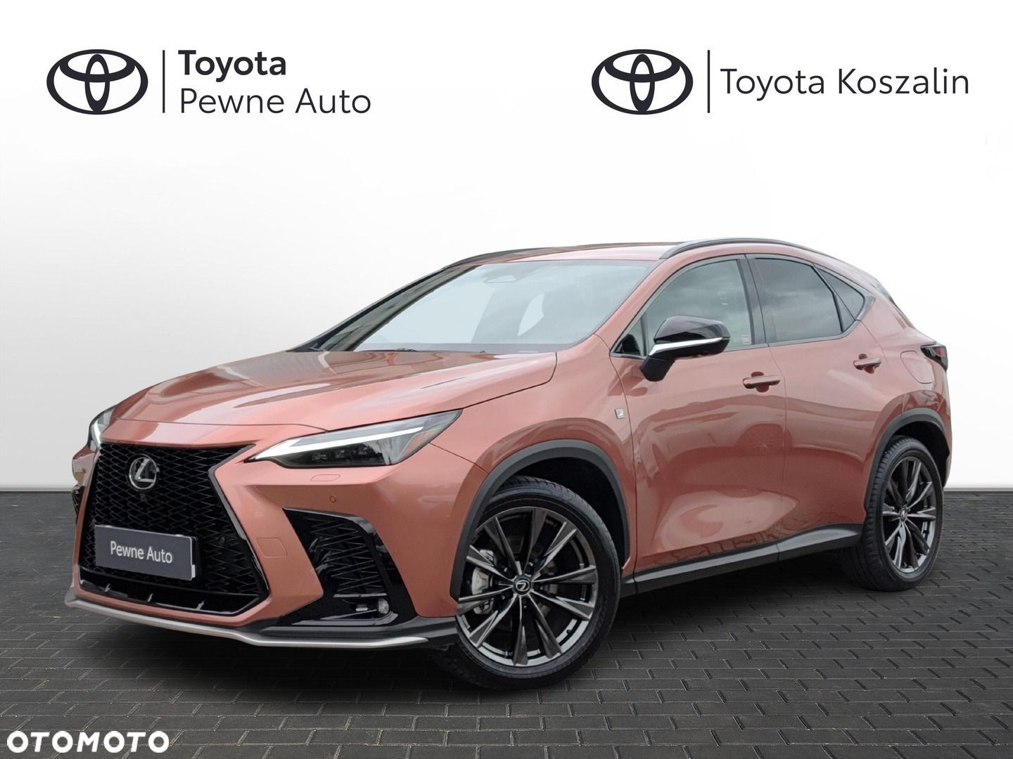 Lexus NX 350h F Sport AWD - 1