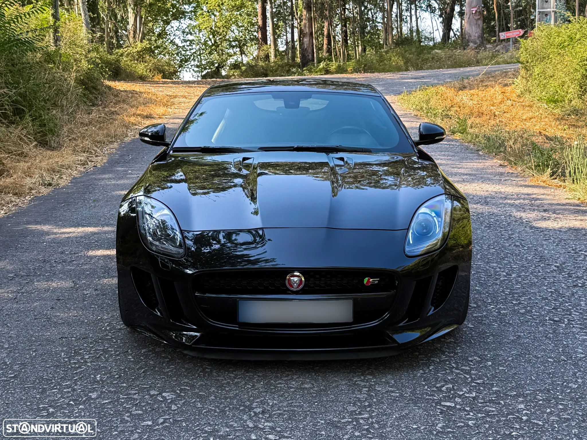 Jaguar F-Type 3.0 V6 S/C S Auto AWD - 1