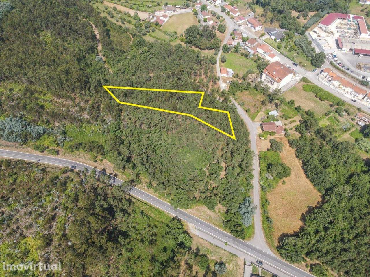 Terreno para Construção, Vila Nova de Poiares - Grande imagem: 4/22