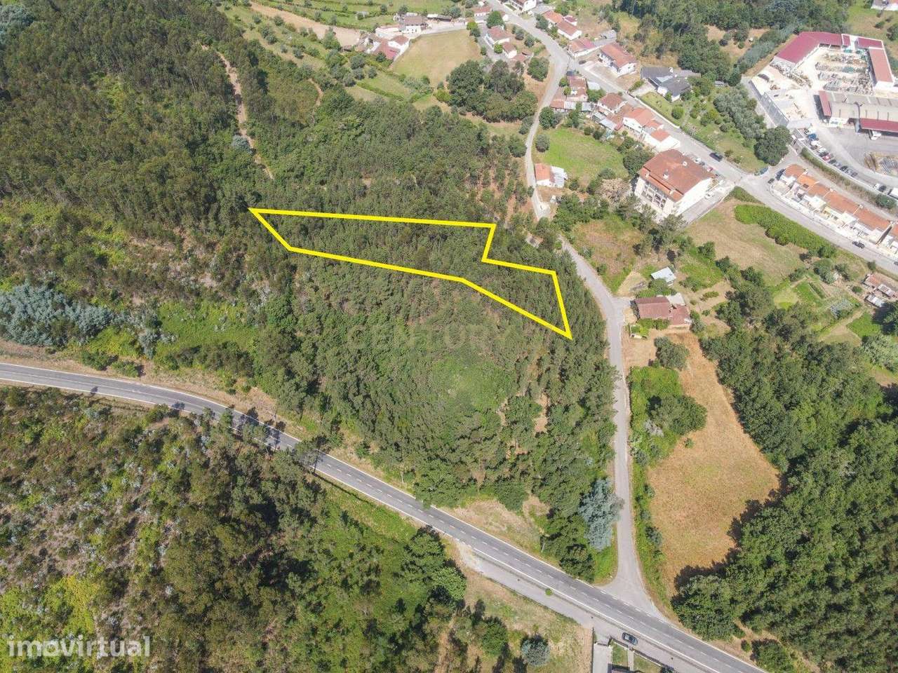Terreno para Construção, Vila Nova de Poiares - Grande imagem: 4/22