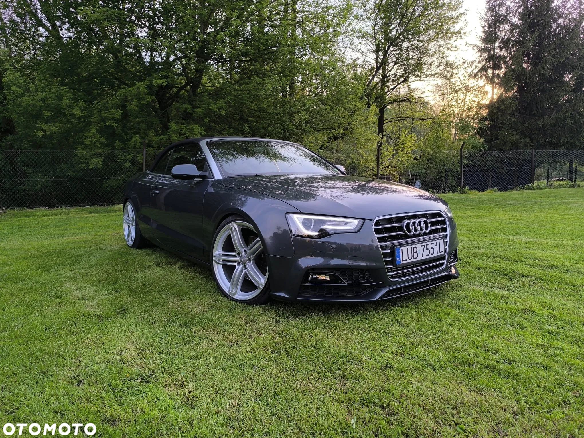 Audi A5 Cabrio - 1