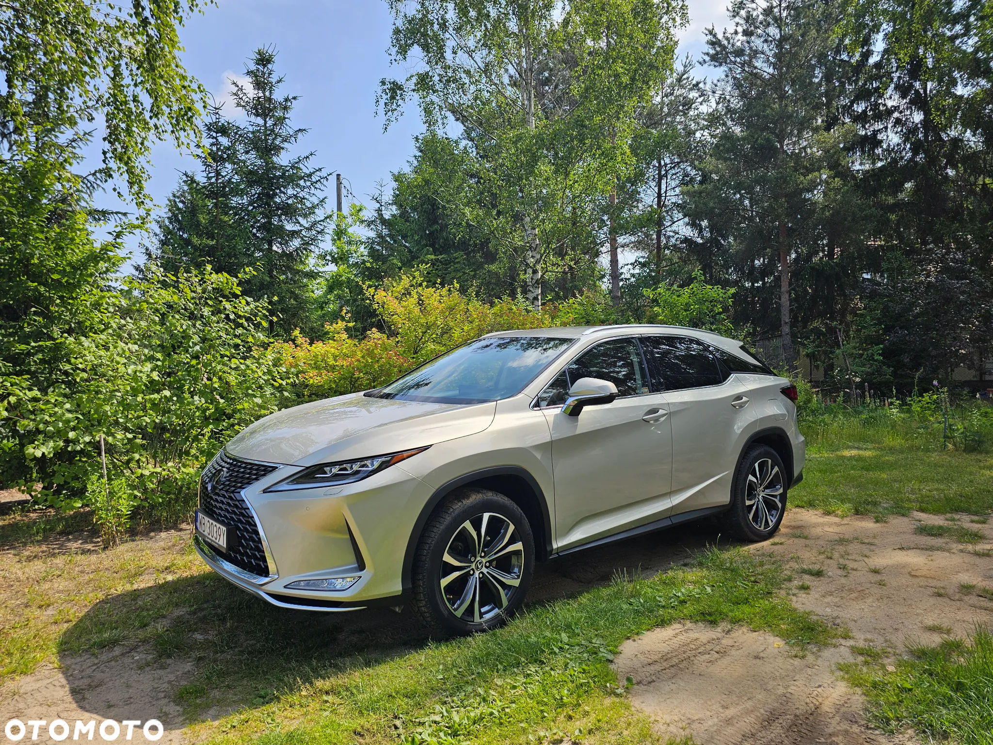 Lexus RX 300 Business Edition + - 9