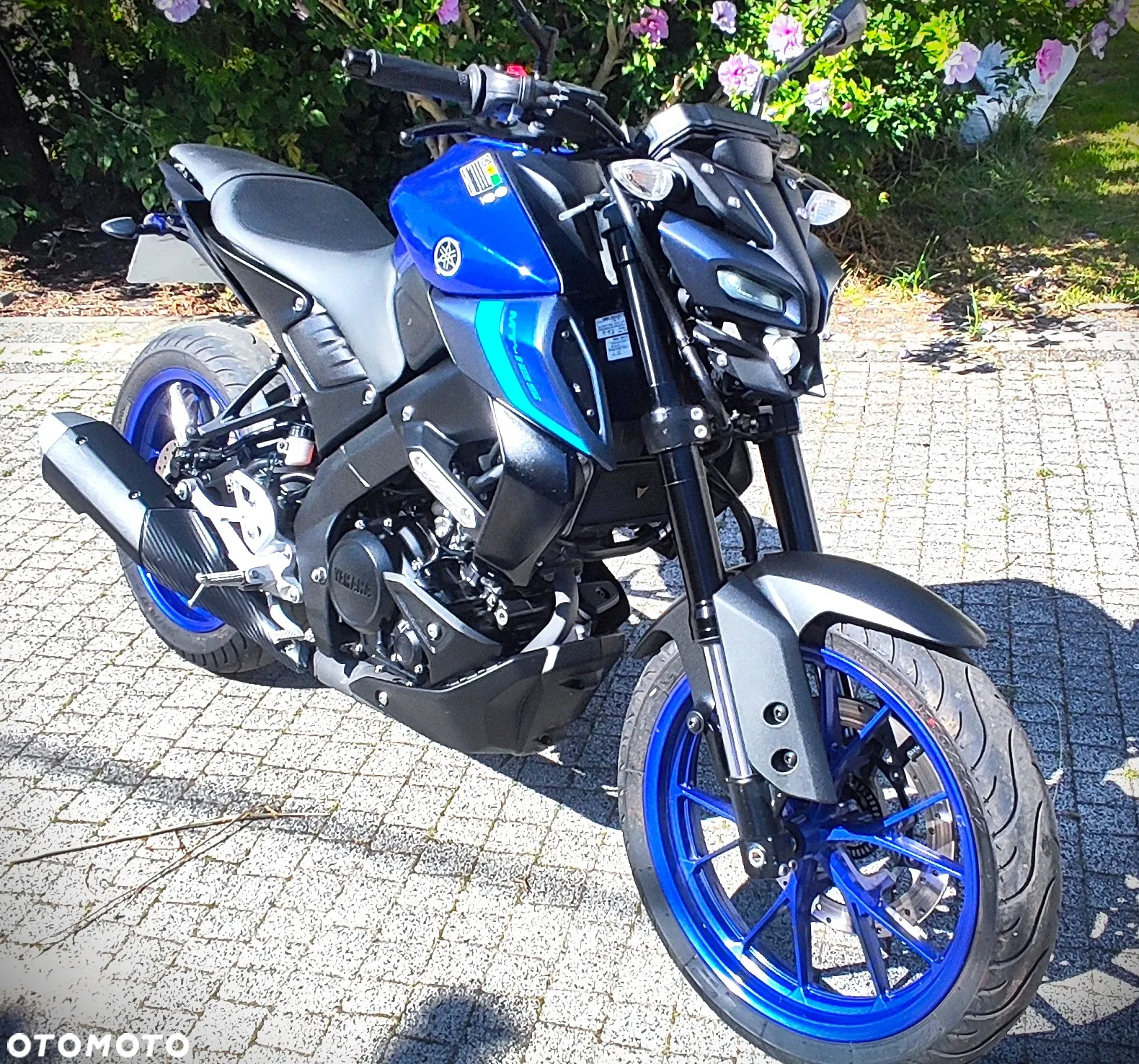 Yamaha MT - 14