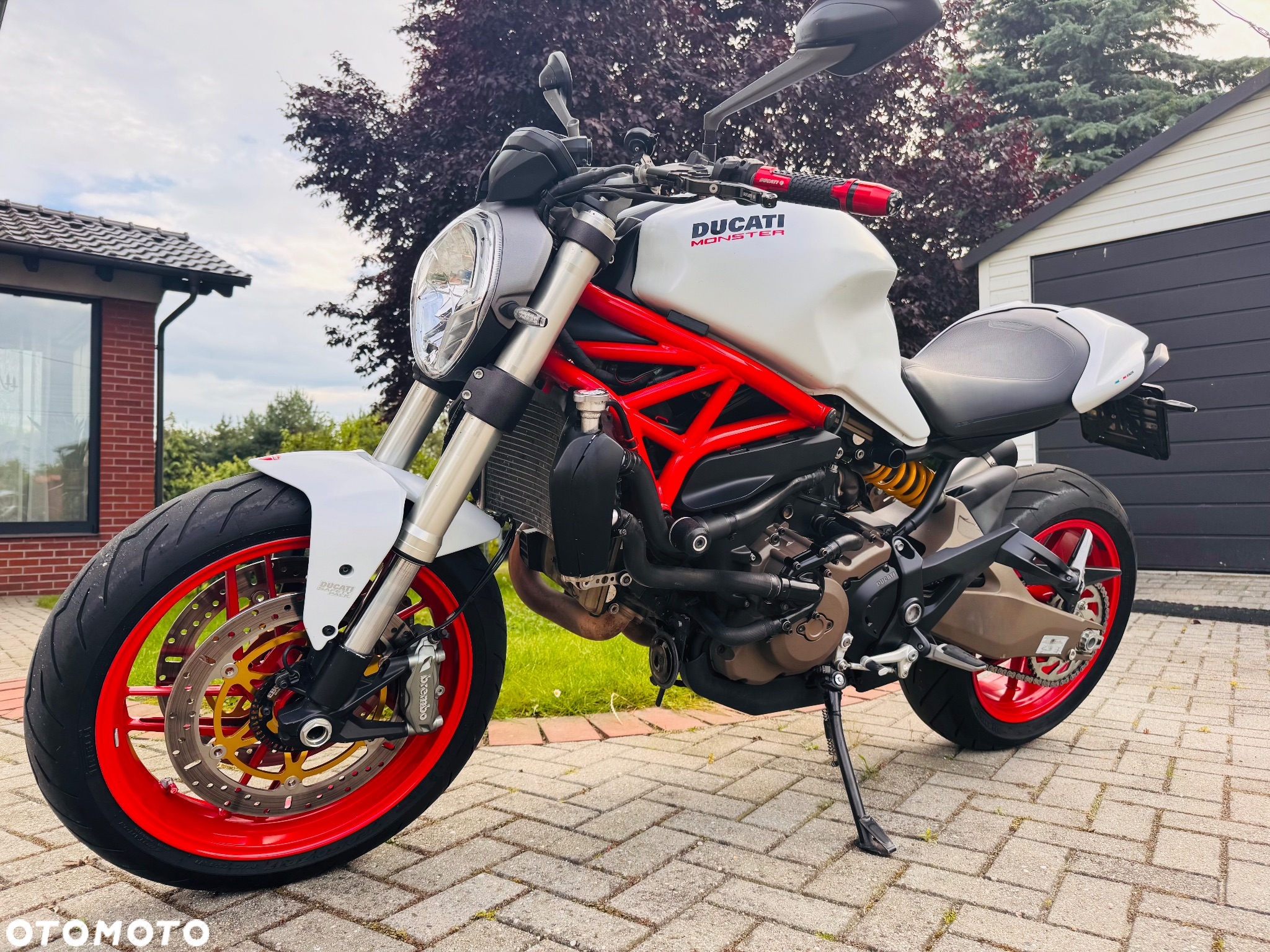 Ducati Monster - 7