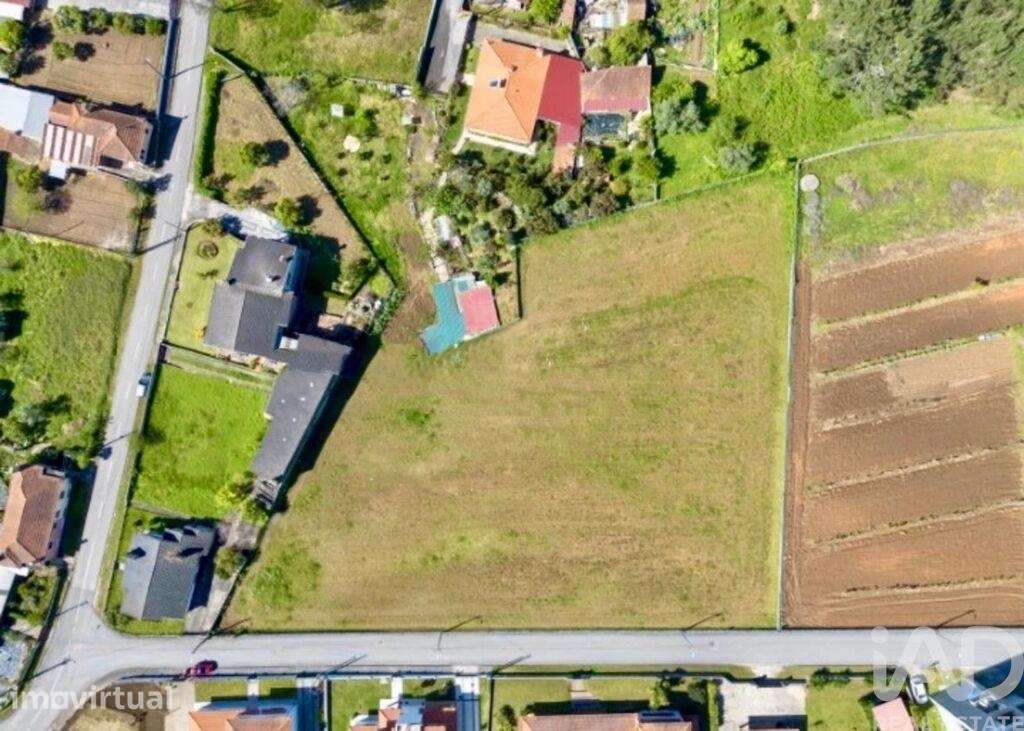 Terreno em Macinhata do Vouga de 5600,00 m2 - Grande imagem: 2/15