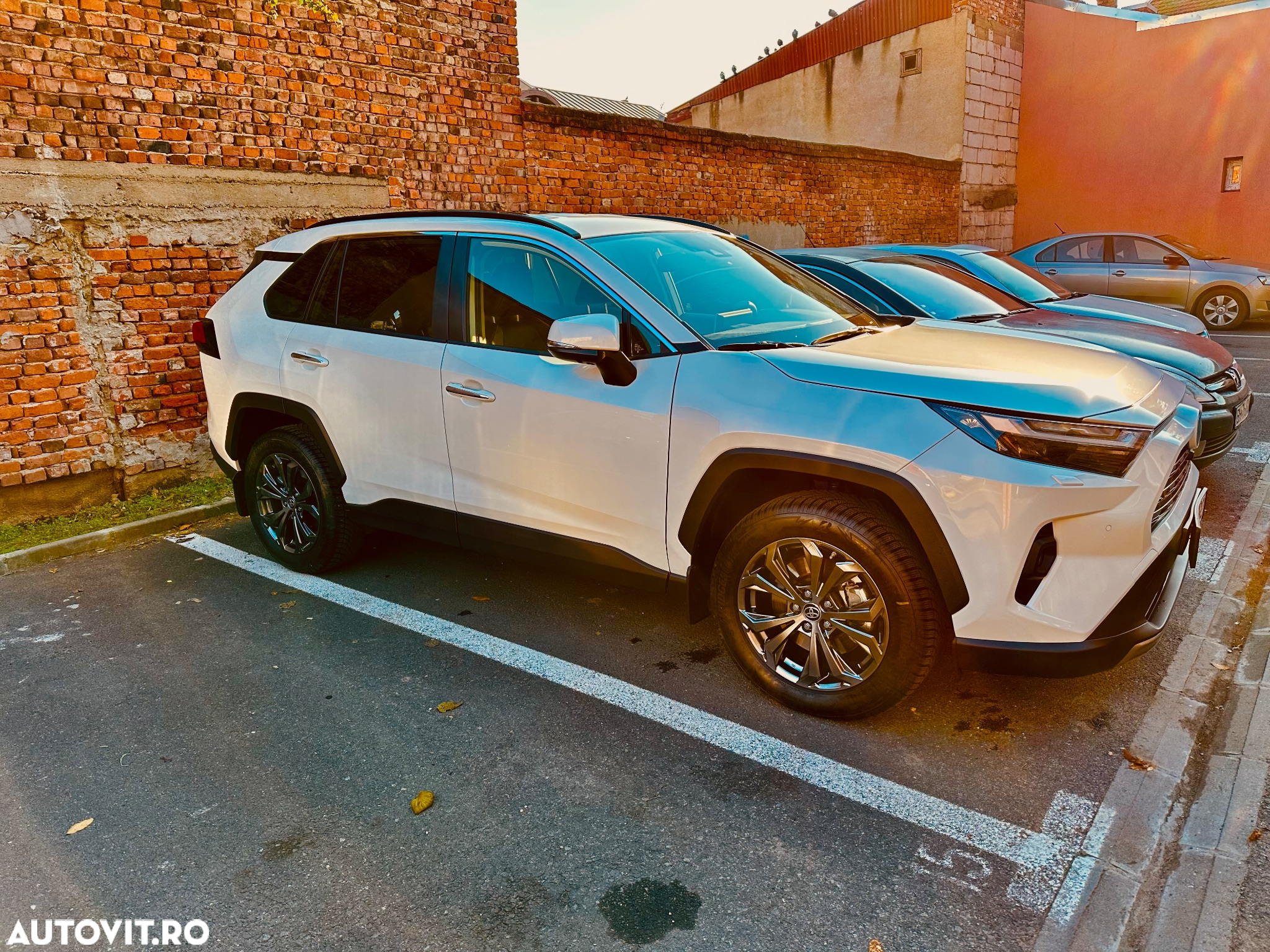 Toyota RAV4 2.5 Hybrid VVT-iE 4x4 Luxury Plus - 3