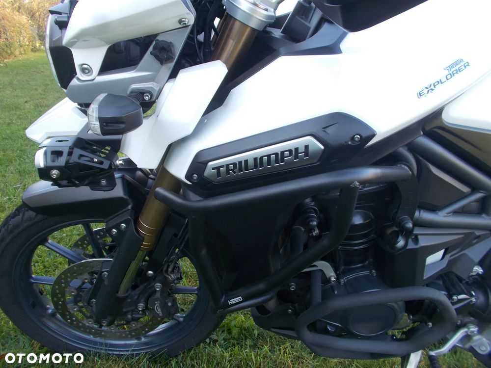Triumph Tiger - 10