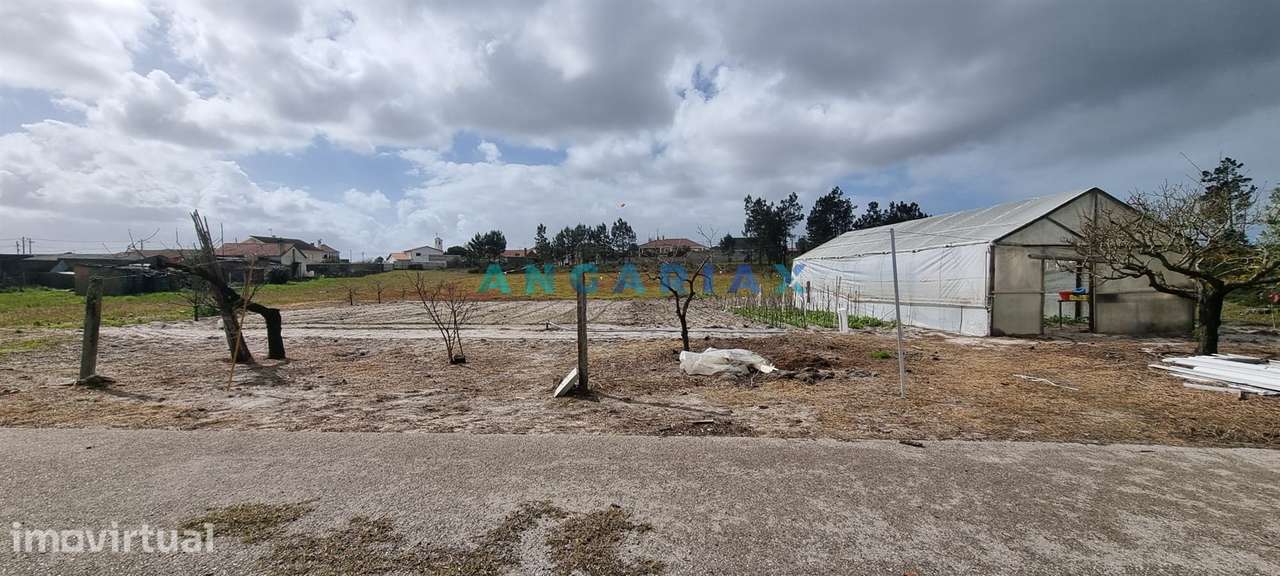 ANG1038 - Terreno para Venda em Fonte Cova, Monte Redondo, Leiria - Grande imagem: 3/16