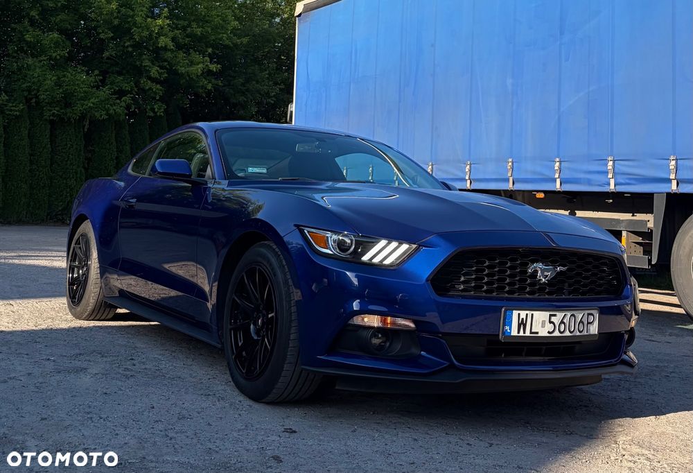 Ford Mustang 3.7 V6 - 12