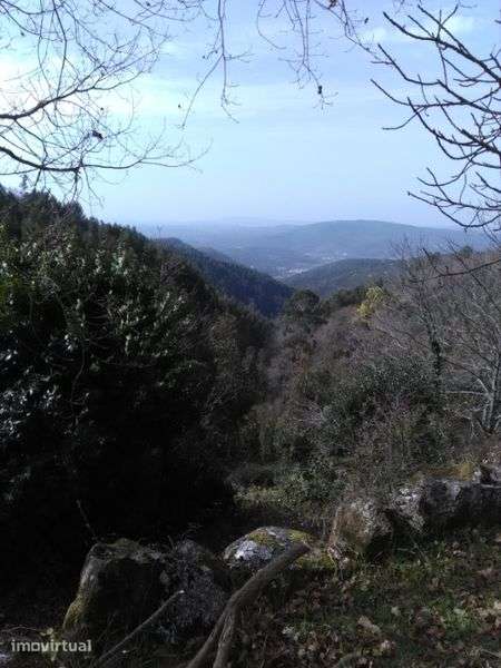 casa em pedra para recuperar -Pomar da serra-Espinhal - Grande imagem: 5/12