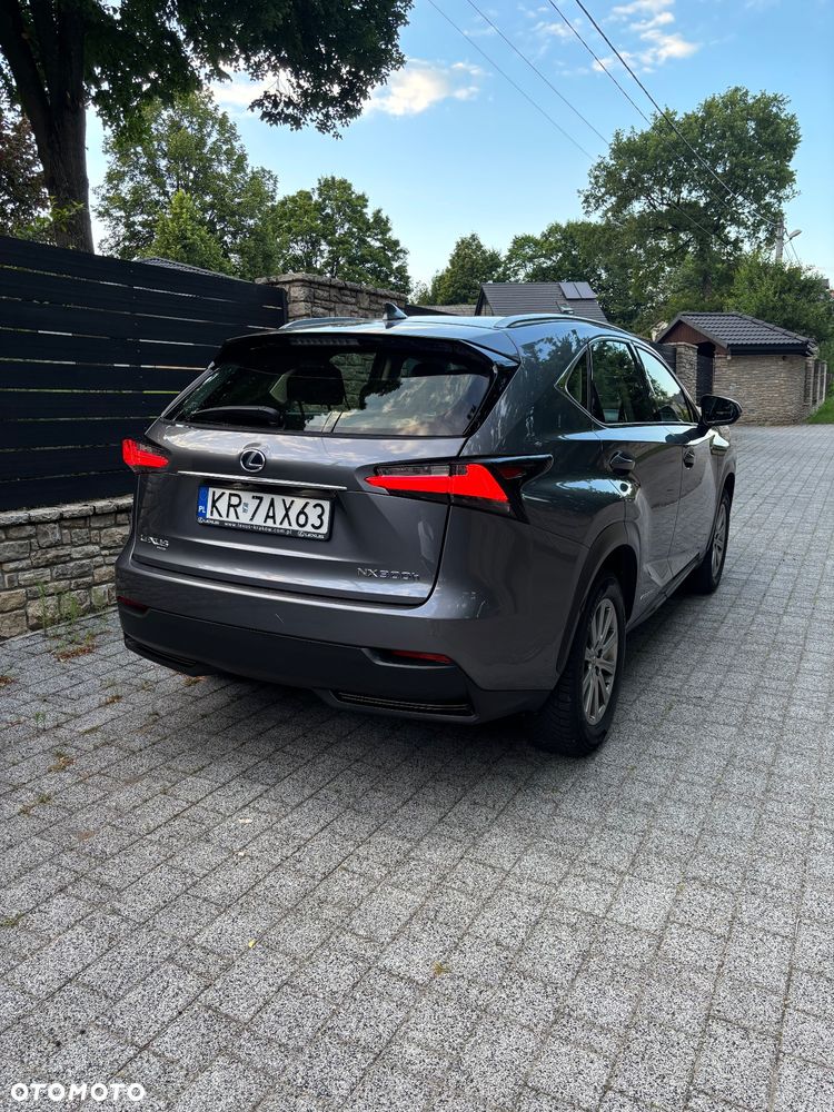 Lexus NX 300h Elegance 2WD - 5