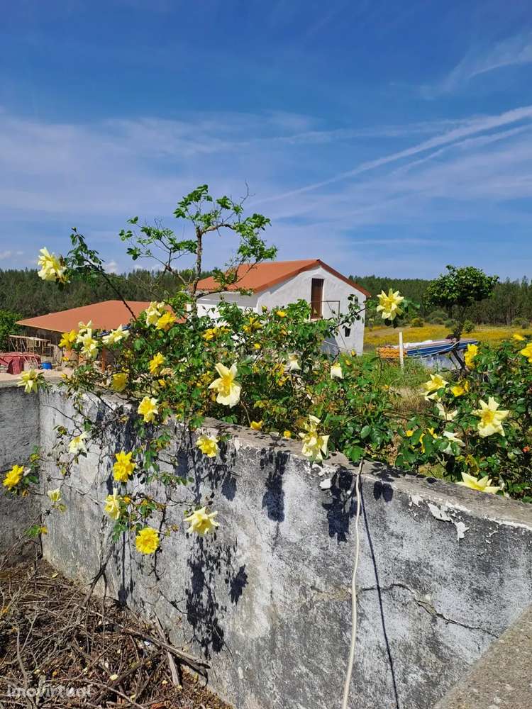 Quinta com 71280 m2  em Palvarinho, Castelo Branco - Grande imagem: 2/27