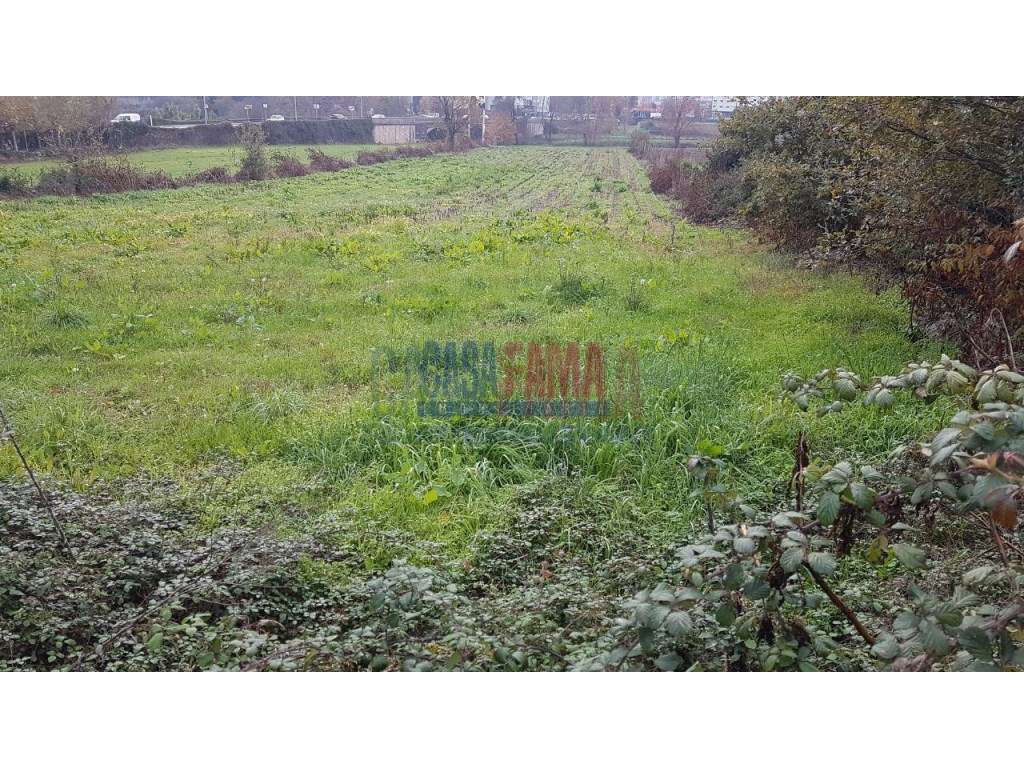 Terreno em Ribeirão - Vila Nova de Famalicão - Grande imagem: 4/4