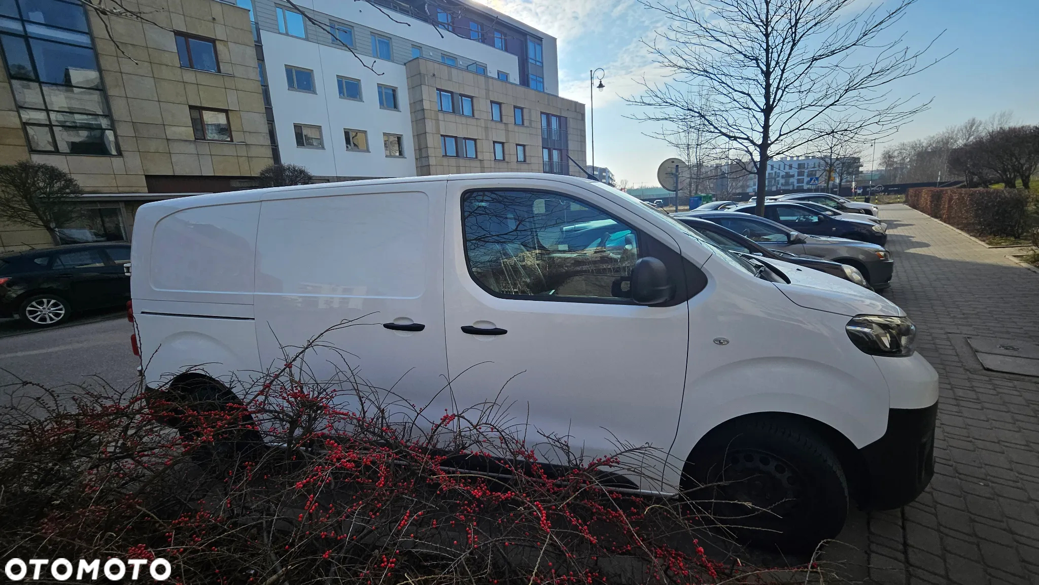 Toyota ProAce - 5