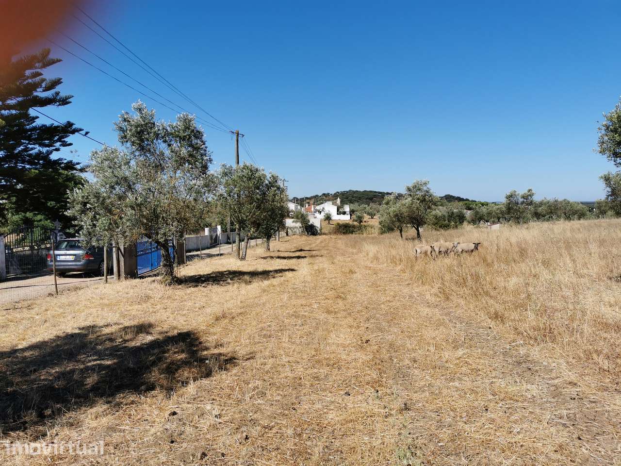 1 Hectare em Santiago do Escoural, Montemor-o-Novo, Évora - Grande imagem: 2/4