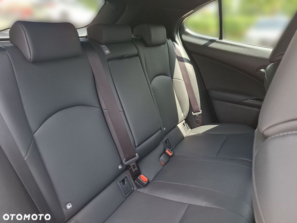 Lexus UX 250h GPF F Sport Design 2WD - 19