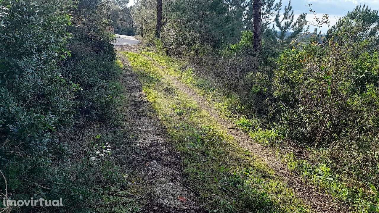 Terreno  para venda - Grande imagem: 2/13