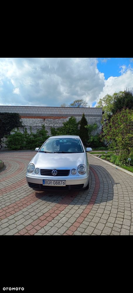 Volkswagen Polo - 2